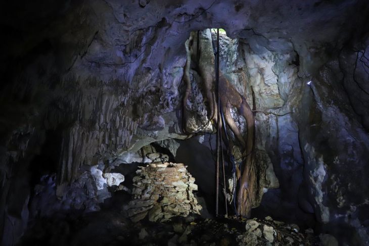 Espeleólogos anuncian hallazgo de vestigios en el tramo 5 Sur del Tren Maya